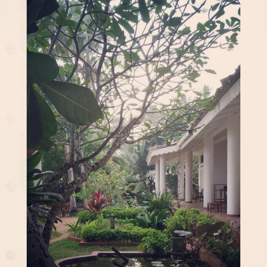 Palm Villa Mirissa Hotel&Spa Bagian luar foto